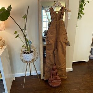 Patagonia Women’s All Season Overalls. NWT. Size: Medium. Color: Earthworm Brown